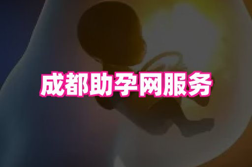 东莞助孕网站 2