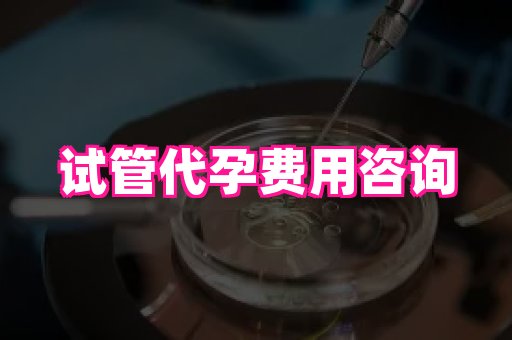东莞助孕网站 3