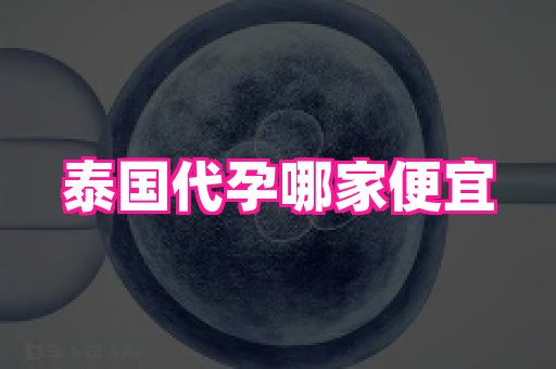 东莞助孕网站 4